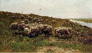Mauve, Anton Sheep on a dyke Germany oil painting artist